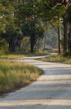 gravel road