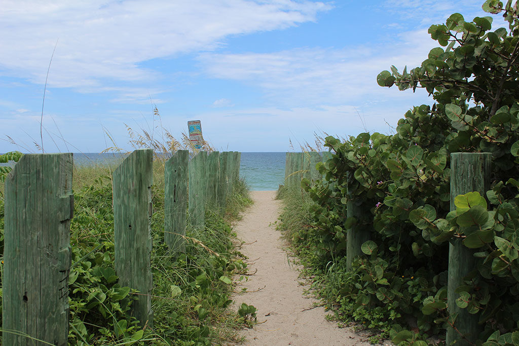 path to the beach