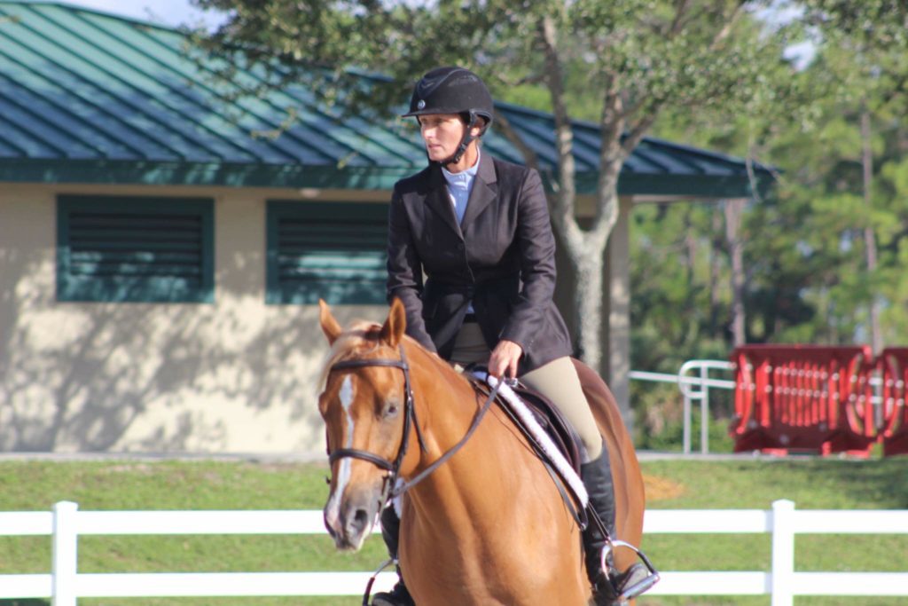 McNally Show Horses