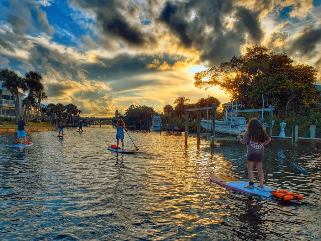 paddle boarders