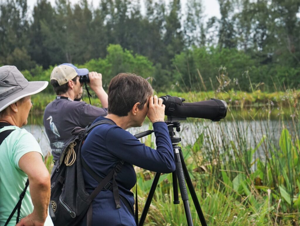 photographers taking photos